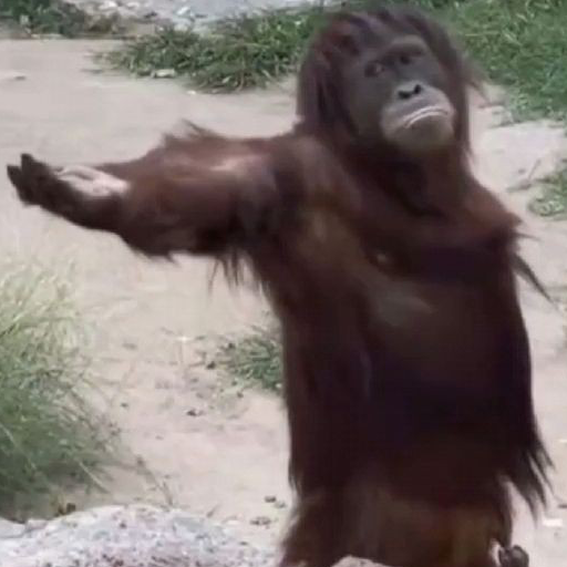 Gimmie emote for Discord