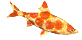 PizzaFishSpin emote for Discord