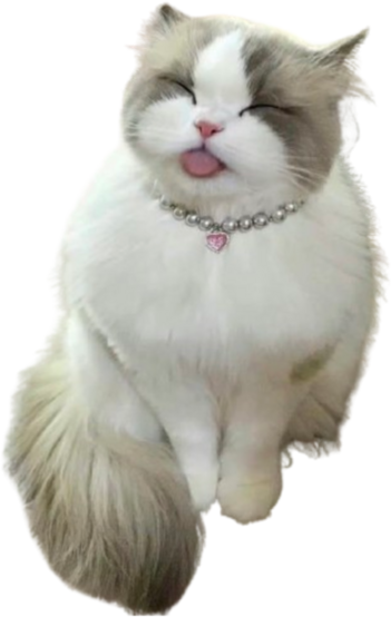 cutecattongue emote for Discord
