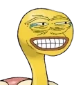 0213Shuckle emote for Discord
