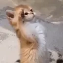 07 emote for Discord