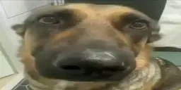 00 emote for Discord