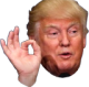 Trumpnice emote for Discord