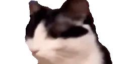 0505 emote for Discord