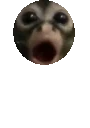 0Bounce emote for Discord