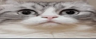 0_0 emote for Discord