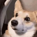 0_0 emote for Discord