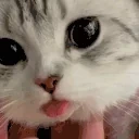 0_braincells emote for Discord