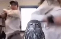 00 emote for Discord