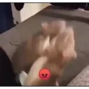 0bbf66f97b5c42a788212604086ab82d emote for Discord