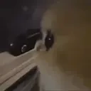 00 emote for Discord