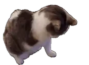 0damage emote for Discord