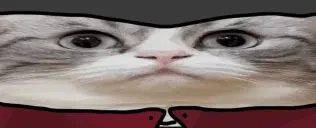 0_0 emote for Discord