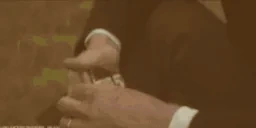 1gameinlowmastadeluxe emote for Discord