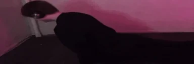 1683169146573085 emote for Discord