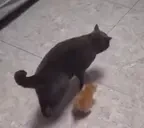 123 emote for Discord