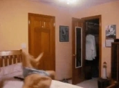 12345678901234567890123 emote for Discord