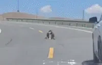 1v1 emote for Discord