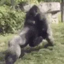 1gameontoplane emote for Discord