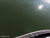 100gar emote for Discord