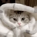 123 animated emote for Discord, Twitch and Slack