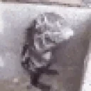 2675takingshower emote for Discord