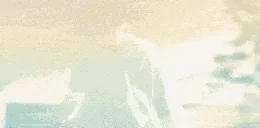 20dollars emote for Discord