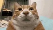 2hub emote for Discord