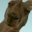 2alert emote for Discord