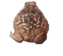 360froggifemotepog emote for Discord