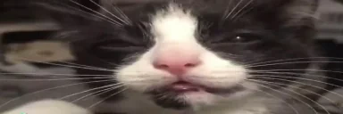 326 emote for Discord