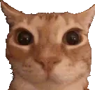 3b emote for Discord