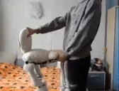 6peksex emote for Discord