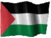 6424wavingpalestine emote for Discord