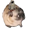 6pugSit emote for Discord
