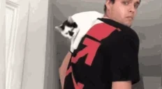 6Jam emote for Discord