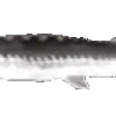 7632joel emote for Discord