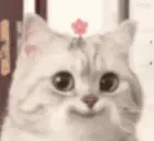 83666 emote for Discord