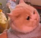 89 emote for Discord