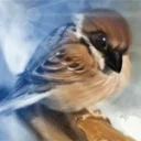 7BUH emote for Discord