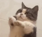 85 emote for Discord