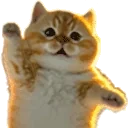 8reeWave emote for Discord