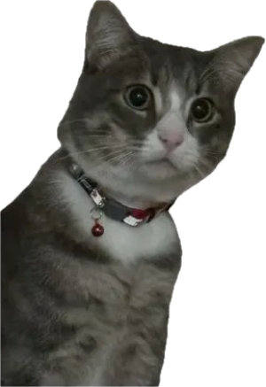 el_joey_67 emote for Discord