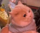 89 emote for Discord