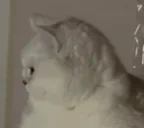 86 emote for Discord