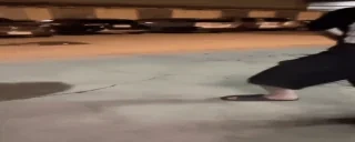 9qoqKongan emote for Discord