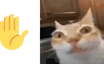 Question emote for Discord