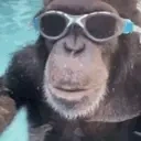 QuiteBasedIndeedWhyYesE emote for Discord