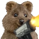 Quok emote for Discord