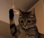 Question emote for Discord